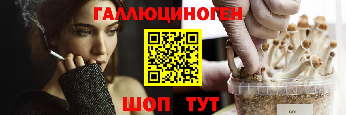 Псилоцибиновые грибы GOLDEN TEACHER  Псилоцибиновые грибы Cubensis  Вход с VPN  Энгельс 
